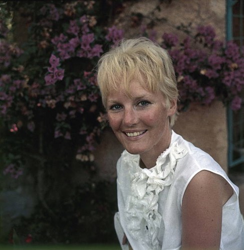 Petula clark british - petula,